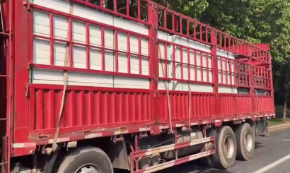 旭東PVC圍擋批發(fā)直供龍崗工地，2500米圍擋當天閃電送達